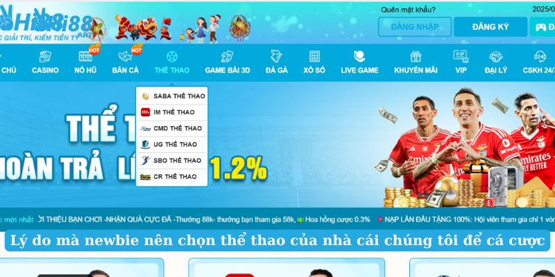 Lý do mà newbie nên chọn thể thao của nhà cái chúng tôi để cá cược